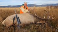 George Bull Elk 2023